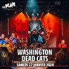 Washington dead cats - 