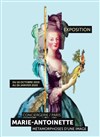 Visite guidée de l'exposition : Marie-Antoinette, métamorphoses d'une image | avec Michel Lhéritier - 