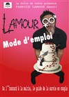 Fabrice Lamour dans Lamour : mode d'emploi - 