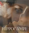 Hippocampe - 