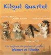 Concert Kitgut Quartet - 
