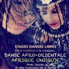 Stage danse : l' Afrique se retrouve .. ! - 