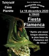 Fiesta Flamenca - 