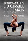 Festival mondial du cirque de demain - 