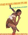 Stage de danse africaine - 