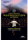 Murmuration extended - 