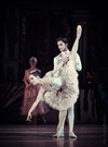 Casse Noisette | par le grand ballet de Kiev - 