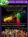 Orchestre à Cordes du Brésil - 