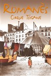 Cirque Romanès - La Reine des Gitans et des Chats | - Bordeaux - 