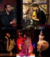 Flamenco à Paris - 
