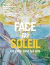 Visite guidée : Face au soleil, un astre dans les arts, exposition | par Michel Lhéritier - 