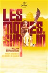 Les moines Shaolin | Arles - 