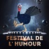 Finale du Festival de l'Humour du Grand Est 2017 - 
