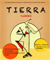 Tierra : Flamenco - 