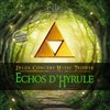 Echos d'Hyrule | Pau - 