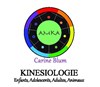 Découvrir la kinésiologie - 