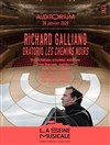 Richard Galliano - Les chemins noirs - 
