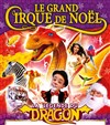 Medrano Le grand cirque de Noël : La Légende du Dragon | - Le Havre - 