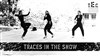 Traces in the snow - 