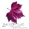 Sylvain Luc Trio Organic - 