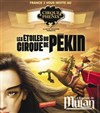 Enregistrement d'émission : Les étoiles du cirque de pékin dans la Légende de Mulan - 