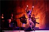 Cabaret Flamenco - 