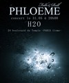 Phloeme - 