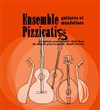 Ensemble Pizzicatis | guitares & mandolines - 