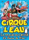 Le Cirque sur l'Eau | - Marseille - 