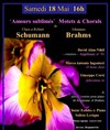 Amours sublimés : Motets & Chorals de Schumann & Brahms - 