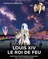 Louis XIV, Le roi de feu | Nuits de l'Orangerie 2017 - 