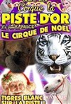 Le Cirque La Piste d'Or dans Le Cirque de Noël | - Clermont Ferrand - 