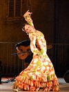 Spectacle Flamenco - 