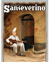 Sanseverino | en Concert - 