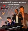 Concert hommage à Johnny Hallyday - 