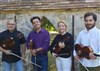 Borsarello viola quartet - Festival Musique d'abord - 