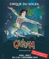 Le Cirque du soleil dans Quidam - 