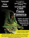 Fiesta Flamenca - 