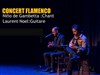 Concert Flamenco : Niño de Gambetta - 