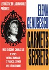 Elena Ceausescu, Carnets Secrets - 