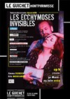 Les Ecchymoses invisibles - 