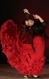Tablao Flamenco Traditionnel Andalou #2 - 
