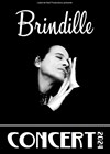 Brindille Concert 2024 - 
