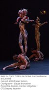 Ballet du Grand Théâtre de Genève, Carl Orff et Claude Brumachon | Carmina Burana - 