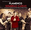 Flamenco Sombras Caidas - 
