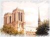 Visite guidée : Notre-Dame de Paris | Baptiste Lejolly - 