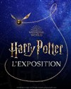 Harry Potter : L'Exposition - Billet date individuel - 