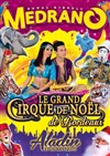 Medrano Le Grand Cirque de Noël : Aladin et les 1001 nuits | - Bordeaux - 