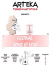Festival Sons et Voix - 