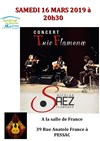 Nicolas Saez : Trio Flamenco - 